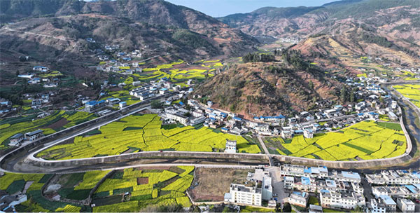 会东县江西街乡：加快粮油现代农业园区建设 擎起乡村振兴新图景