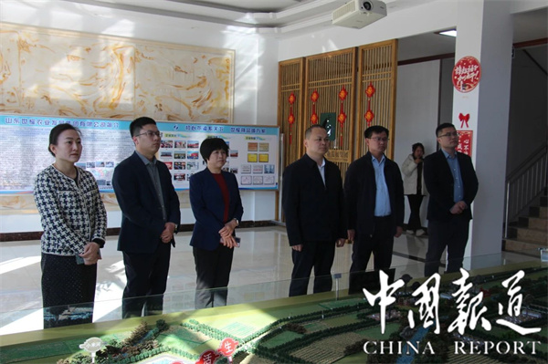 滨州市科协到无棣县西小王镇调研